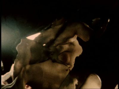 Maria Lassnig - Iris (1971)