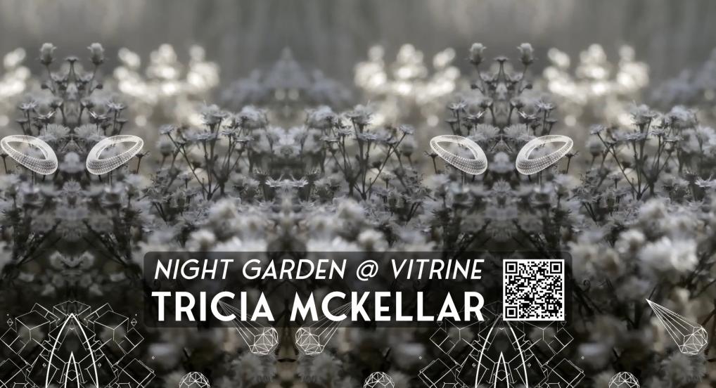 Still from Night Garden video with natural garden photography and geometric shapes