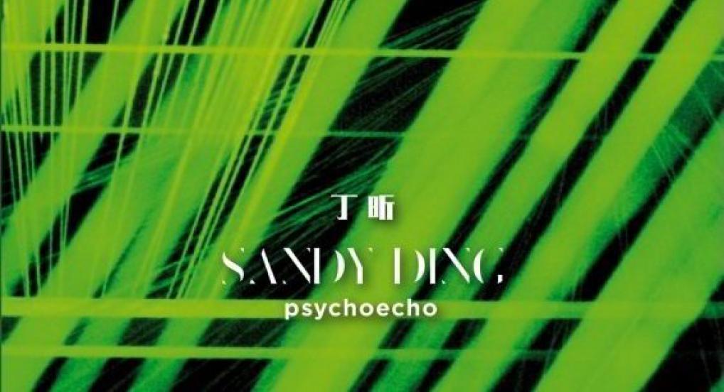 Sandy Ding - Psychoecho