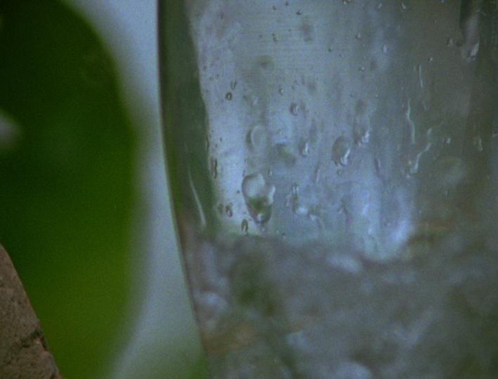 Glass (Leighton Pierce, 1998)
